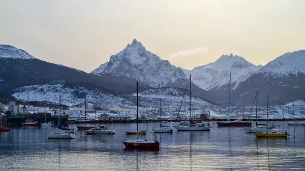 Pasarela con vista al Monte Olivia y Cinco Hermanos
